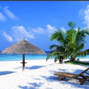 Meet your Posher, Nats